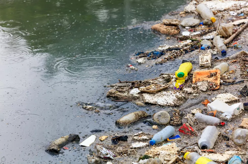 See Montana’s Most Polluted Lakes And Their Hidden Dangers